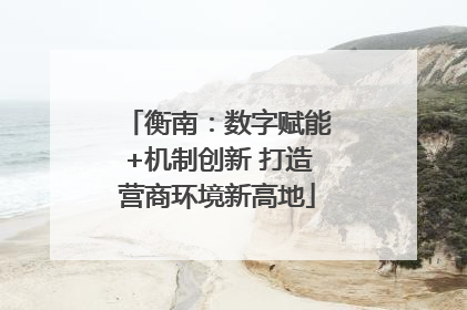衡南：数字赋能+机制创新 打造营商环境新高地
