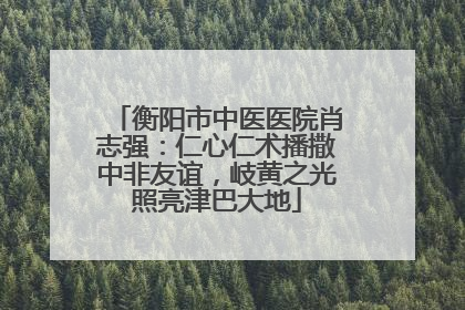 衡阳市中医医院肖志强：仁心仁术播撒中非友谊，岐黄之光照亮津巴大地