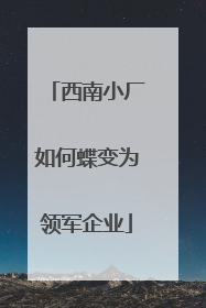 西南小厂如何蝶变为领军企业