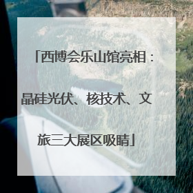 西博会乐山馆亮相：晶硅光伏、核技术、文旅三大展区吸睛