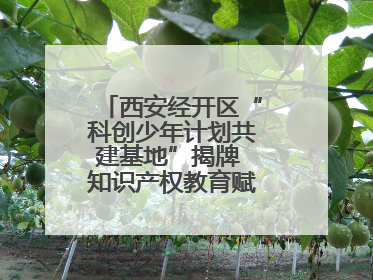西安经开区“科创少年计划共建基地”揭牌 知识产权教育赋能青少年创新