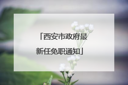 西安市政府最新任免职通知