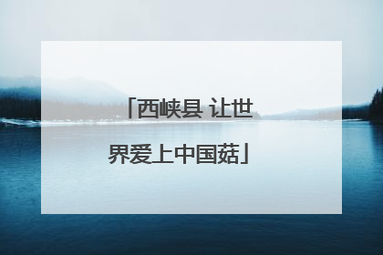 西峡县 让世界爱上中国菇