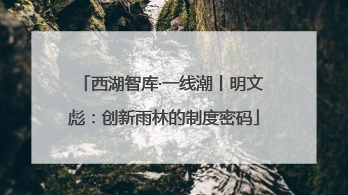 西湖智库·一线潮丨明文彪：创新雨林的制度密码