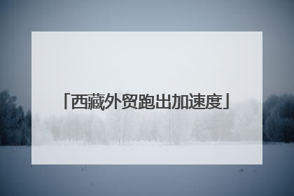 西藏外贸跑出加速度