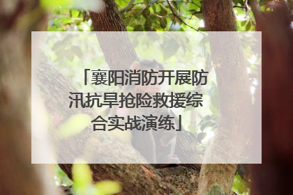 襄阳消防开展防汛抗旱抢险救援综合实战演练