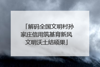 解码全国文明村孙家庄信用筑基育新风文明沃土结硕果