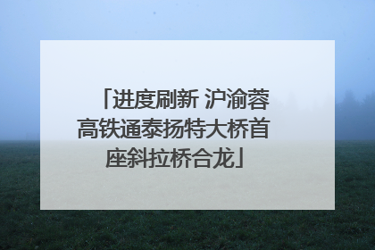 进度刷新 沪渝蓉高铁通泰扬特大桥首座斜拉桥合龙