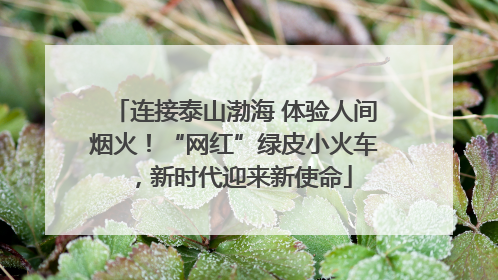 连接泰山渤海 体验人间烟火！“网红”绿皮小火车，新时代迎来新使命