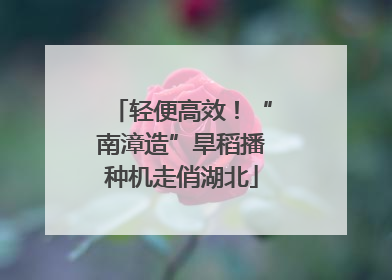 轻便高效！“南漳造”旱稻播种机走俏湖北