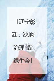 辽宁彰武：沙地治理 造绿生金