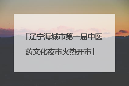 辽宁海城市第一届中医药文化夜市火热开市