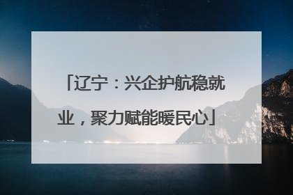 辽宁：兴企护航稳就业，聚力赋能暖民心