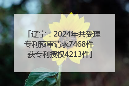 辽宁：2024年共受理专利预审请求7468件 获专利授权4213件