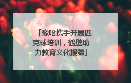 豫哈携手开展匹克球培训，鹤壁助力教育文化援疆