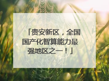贵安新区，全国国产化智算能力最强地区之一！