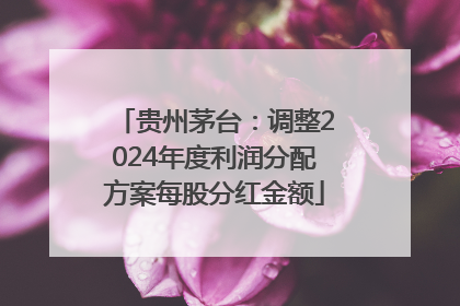 贵州茅台：调整2024年度利润分配方案每股分红金额
