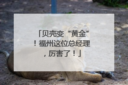 贝壳变“黄金”！福州这位总经理，厉害了！