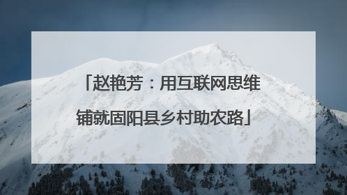 赵艳芳：用互联网思维铺就固阳县乡村助农路