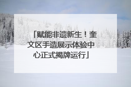 赋能非遗新生！奎文区手造展示体验中心正式揭牌运行