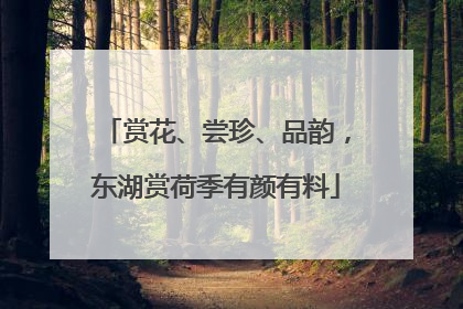 赏花、尝珍、品韵，东湖赏荷季有颜有料