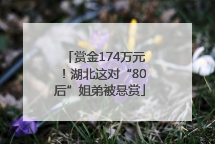 赏金174万元！湖北这对“80后”姐弟被悬赏