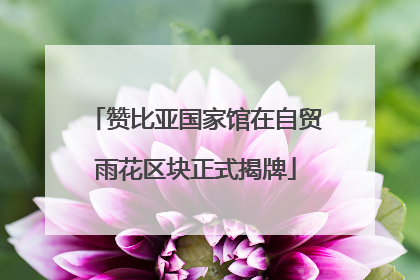 赞比亚国家馆在自贸雨花区块正式揭牌