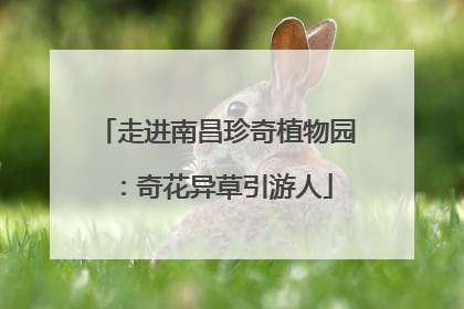 走进南昌珍奇植物园：奇花异草引游人