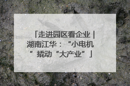 走进园区看企业｜湖南江华：“小电机”撬动“大产业”