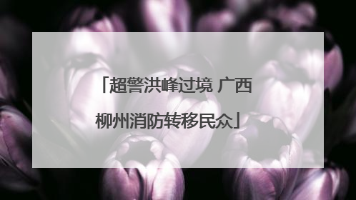 超警洪峰过境 广西柳州消防转移民众