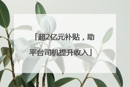 超2亿元补贴，助平台司机提升收入
