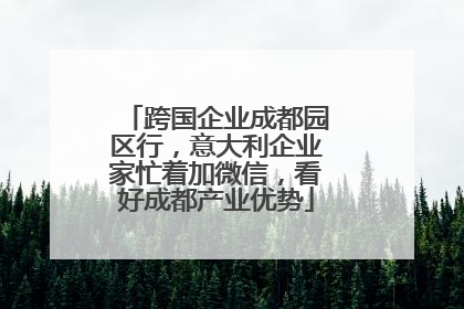 跨国企业成都园区行，意大利企业家忙着加微信，看好成都产业优势