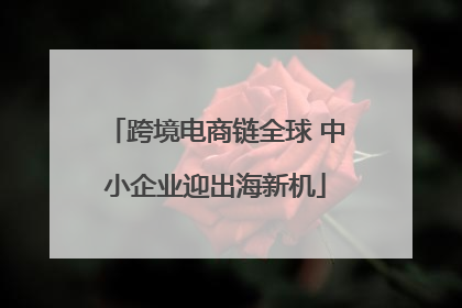 跨境电商链全球 中小企业迎出海新机