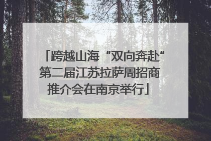 跨越山海“双向奔赴” 第二届江苏拉萨周招商推介会在南京举行