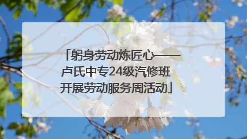 躬身劳动炼匠心——卢氏中专24级汽修班开展劳动服务周活动