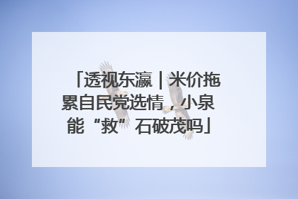 透视东瀛｜米价拖累自民党选情，小泉能“救”石破茂吗