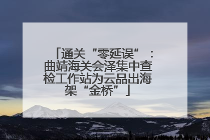 通关“零延误”：曲靖海关会泽集中查检工作站为云品出海架“金桥”