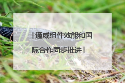 通威组件效能和国际合作同步推进