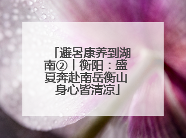 避暑康养到湖南②丨衡阳：盛夏奔赴南岳衡山 身心皆清凉