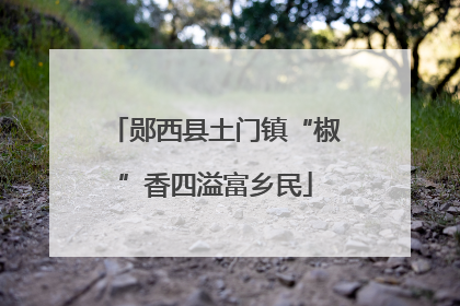 郧西县土门镇“椒”香四溢富乡民