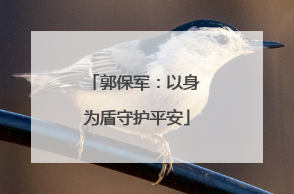 郭保军：以身为盾守护平安