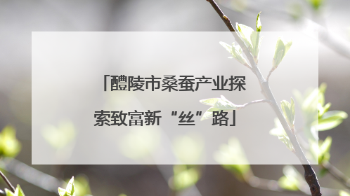 醴陵市桑蚕产业探索致富新“丝”路
