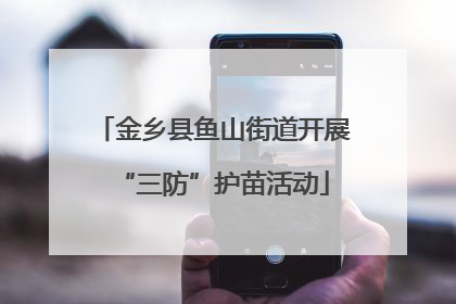 金乡县鱼山街道开展“三防”护苗活动