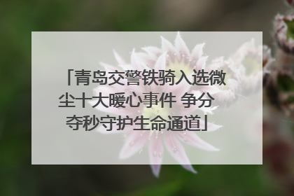 青岛交警铁骑入选微尘十大暖心事件 争分夺秒守护生命通道