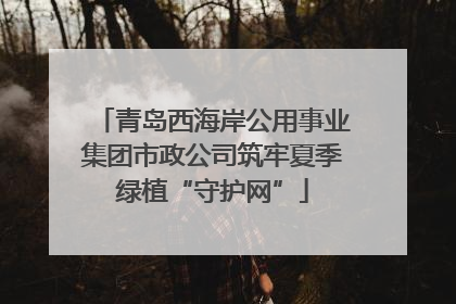 青岛西海岸公用事业集团市政公司筑牢夏季绿植“守护网”