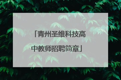 青州圣维科技高中教师招聘简章