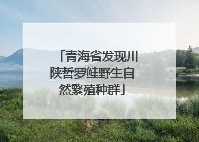 青海省发现川陕哲罗鲑野生自然繁殖种群