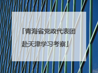 青海省党政代表团赴天津学习考察