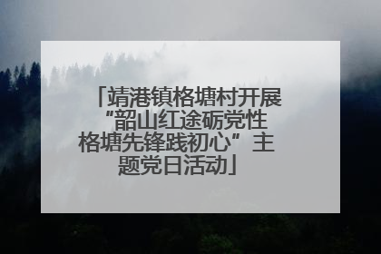靖港镇格塘村开展“韶山红途砺党性 格塘先锋践初心”主题党日活动