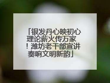 银发丹心映初心 理论薪火传万家！潍坊老干部宣讲奏响文明新韵